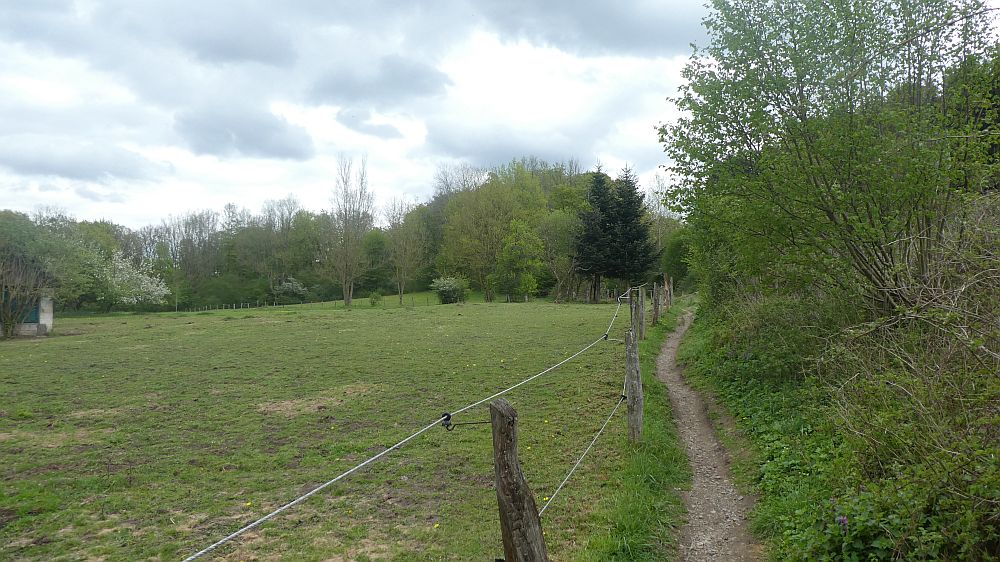 Sauerländer Waldroute