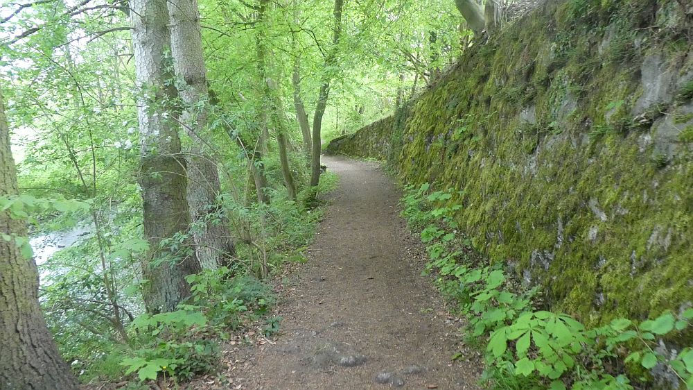 Sauerländer Waldroute