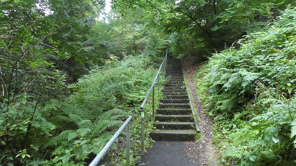 Sauerländer Waldroute