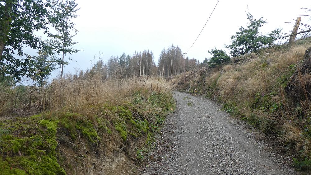 Sauerländer Waldroute