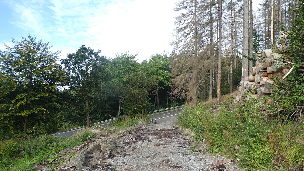 Sauerländer Waldroute