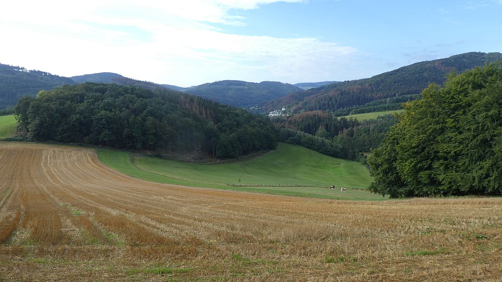 Sauerländer Waldroute