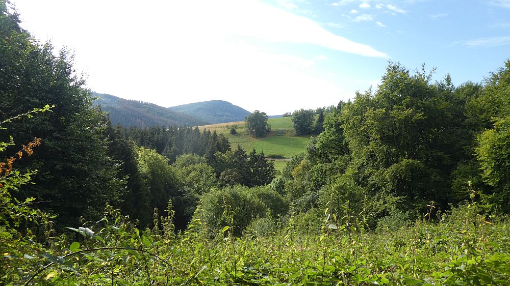 Sauerländer Waldroute