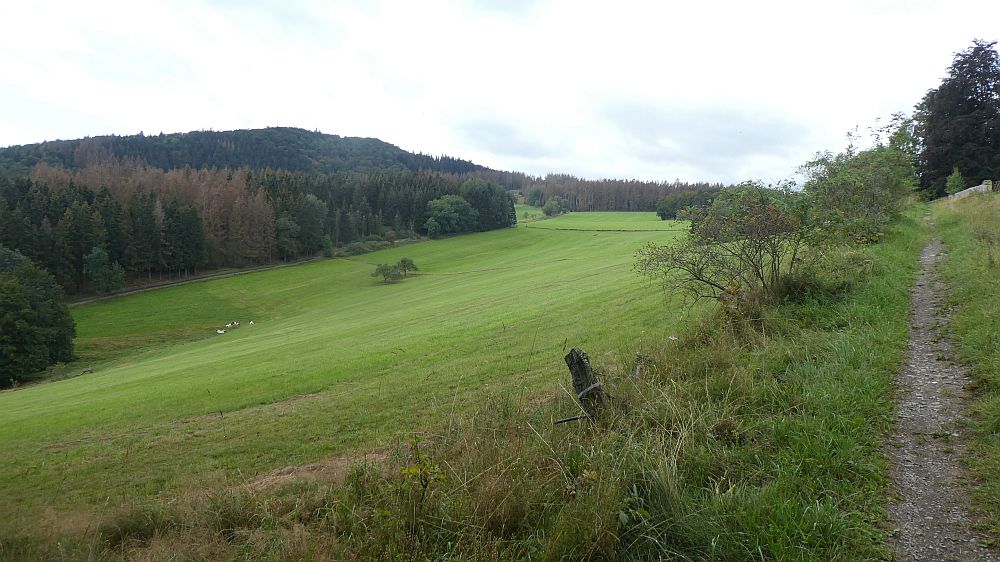 Sauerländer Waldroute
