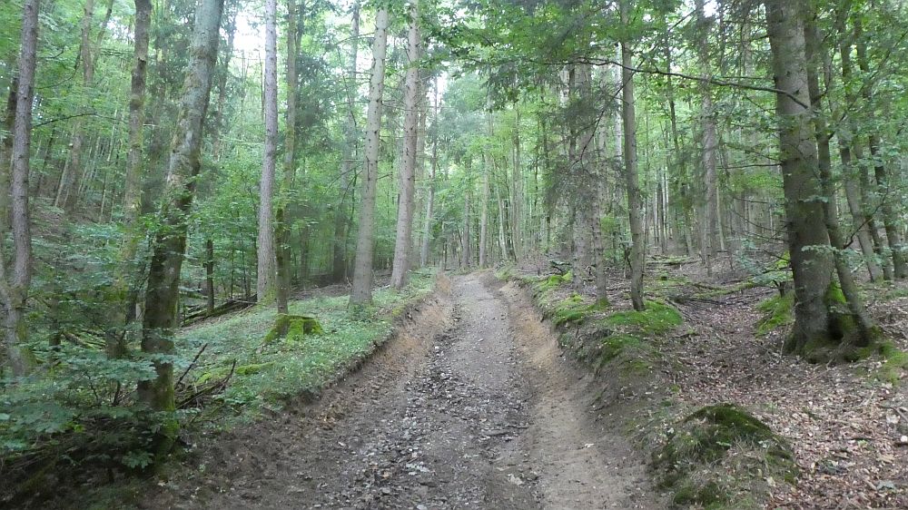 Sauerländer Waldroute