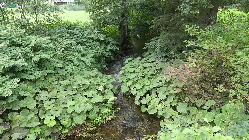 Sauerländer Waldroute