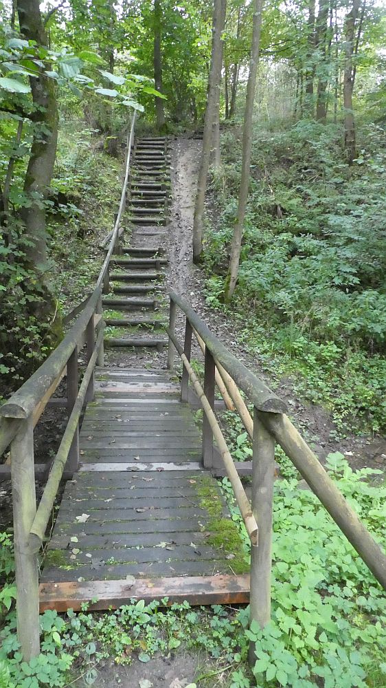 Sauerländer Waldroute
