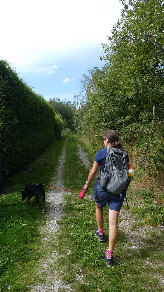 Sauerländer Waldroute