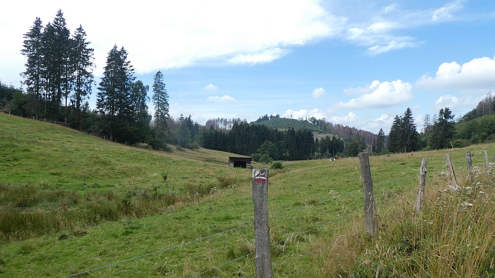 Sauerländer Waldroute