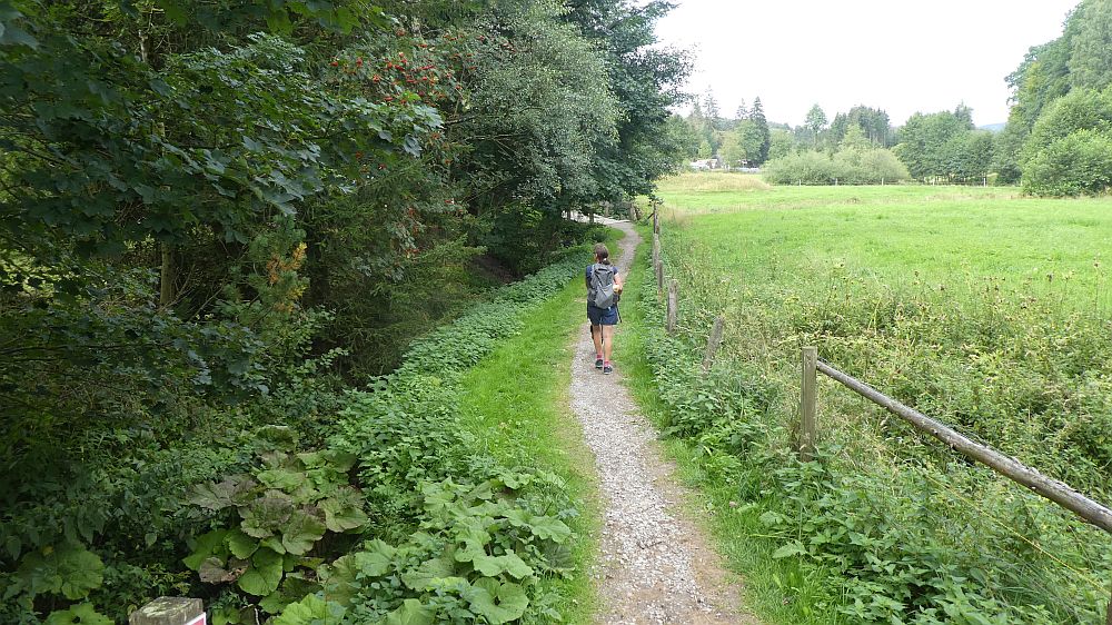 Sauerländer Waldroute