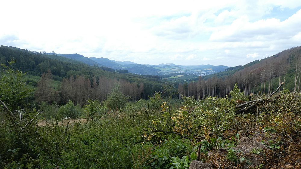 Sauerländer Waldroute