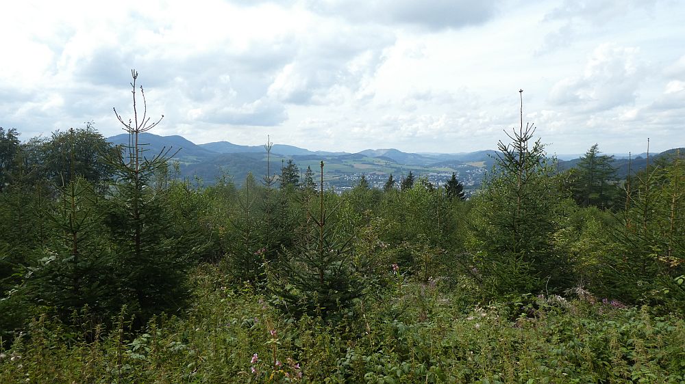 Sauerländer Waldroute