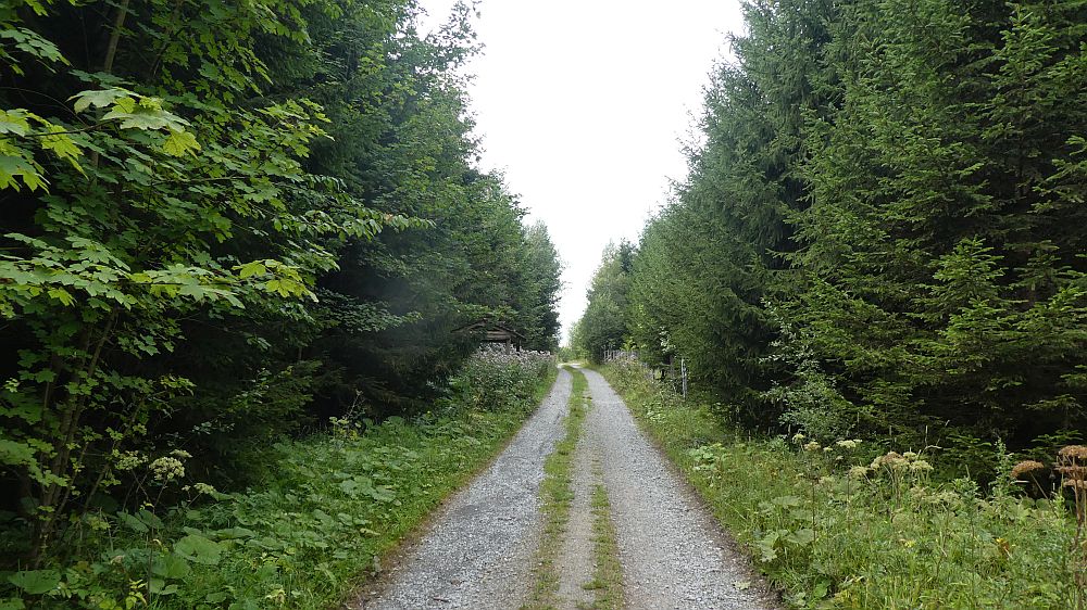 Sauerländer Waldroute