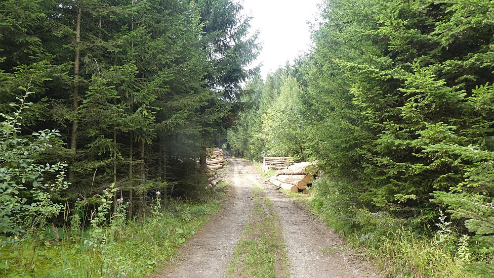Sauerländer Waldroute