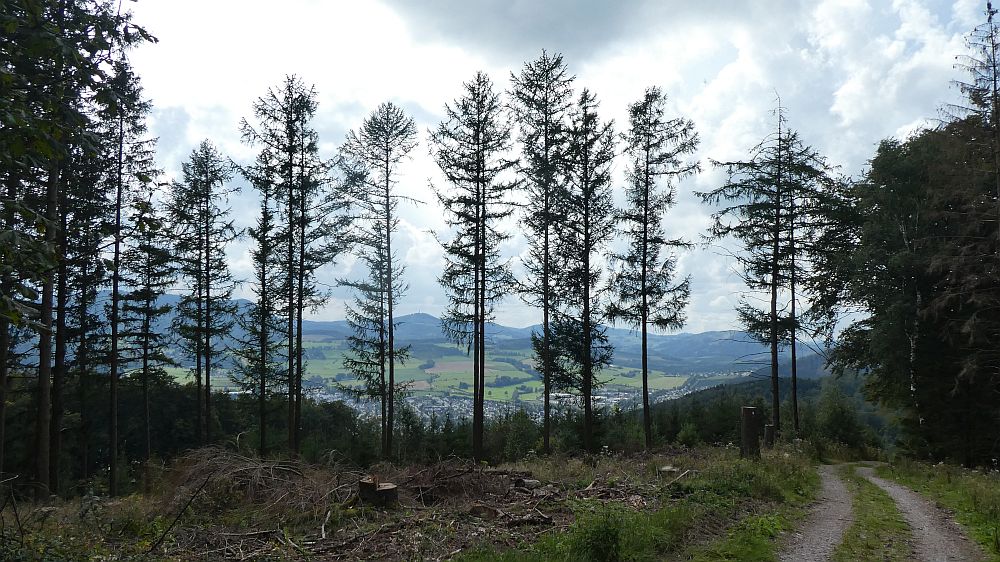 Sauerländer Waldroute