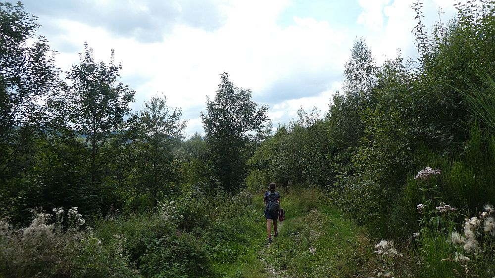 Sauerländer Waldroute