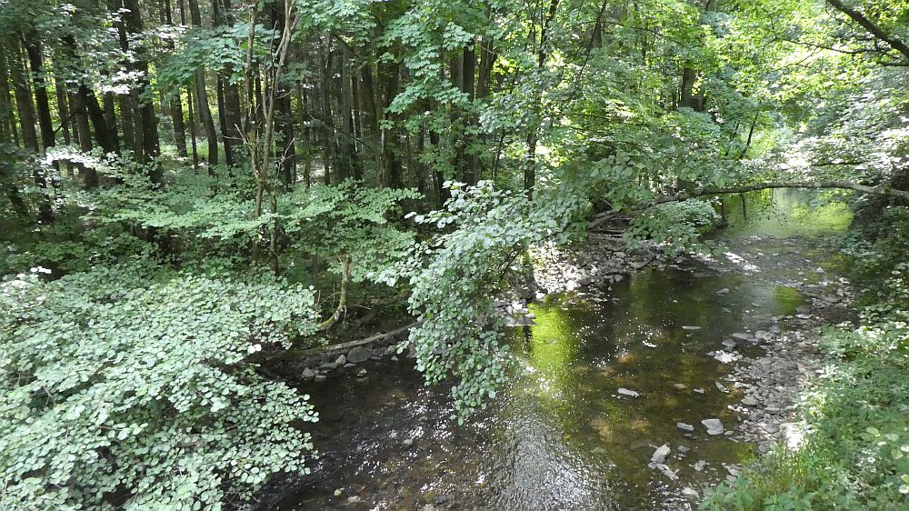 Sauerländer Waldroute