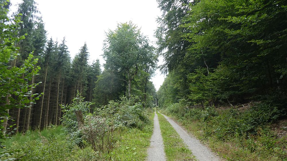 Sauerländer Waldroute