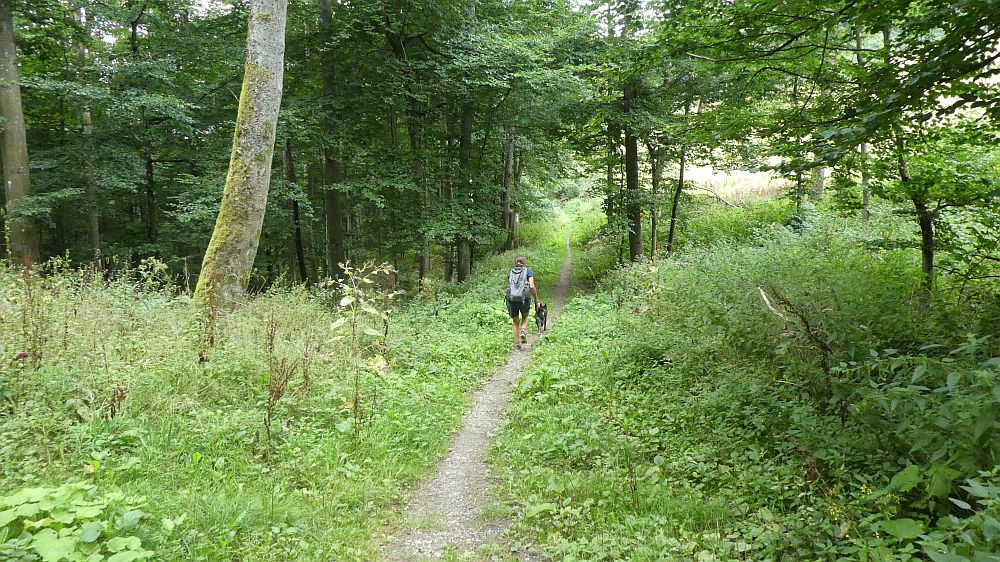 Sauerländer Waldroute