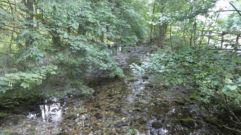 Sauerländer Waldroute