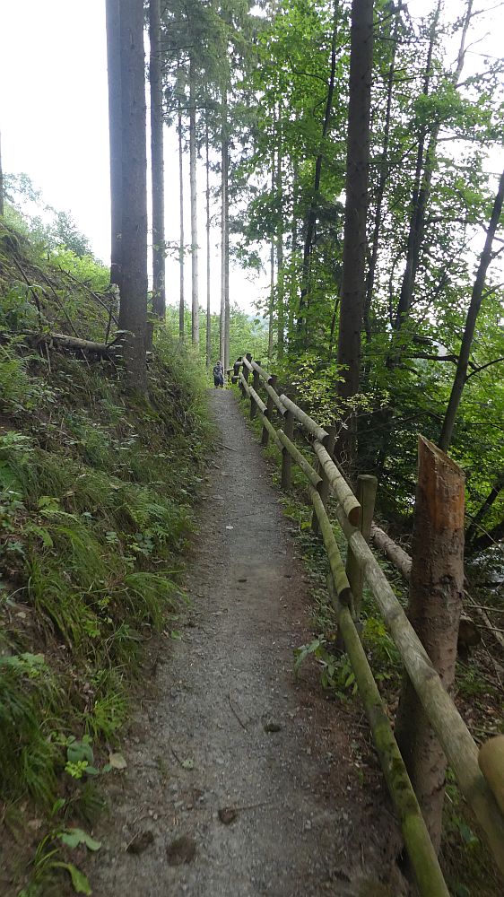 Sauerländer Waldroute