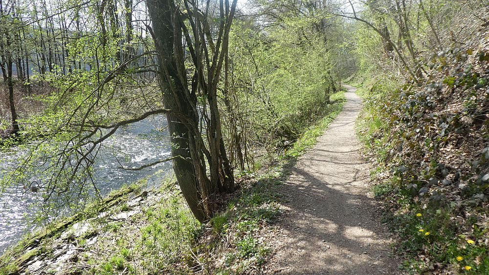 Sauerländer Waldroute