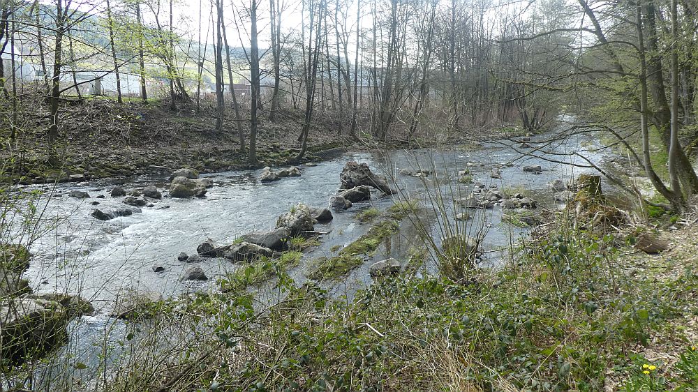 Sauerländer Waldroute