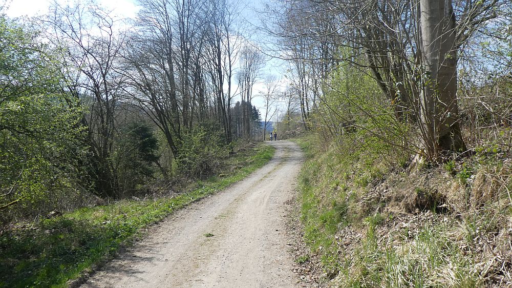 Sauerländer Waldroute