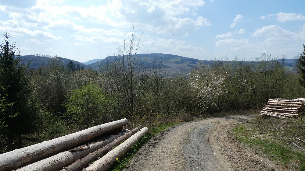 Sauerländer Waldroute