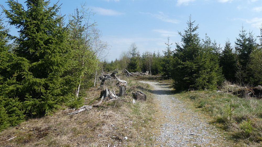 Sauerländer Waldroute