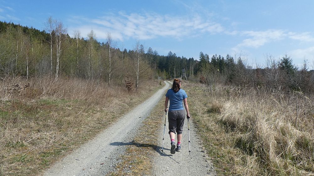 Sauerländer Waldroute
