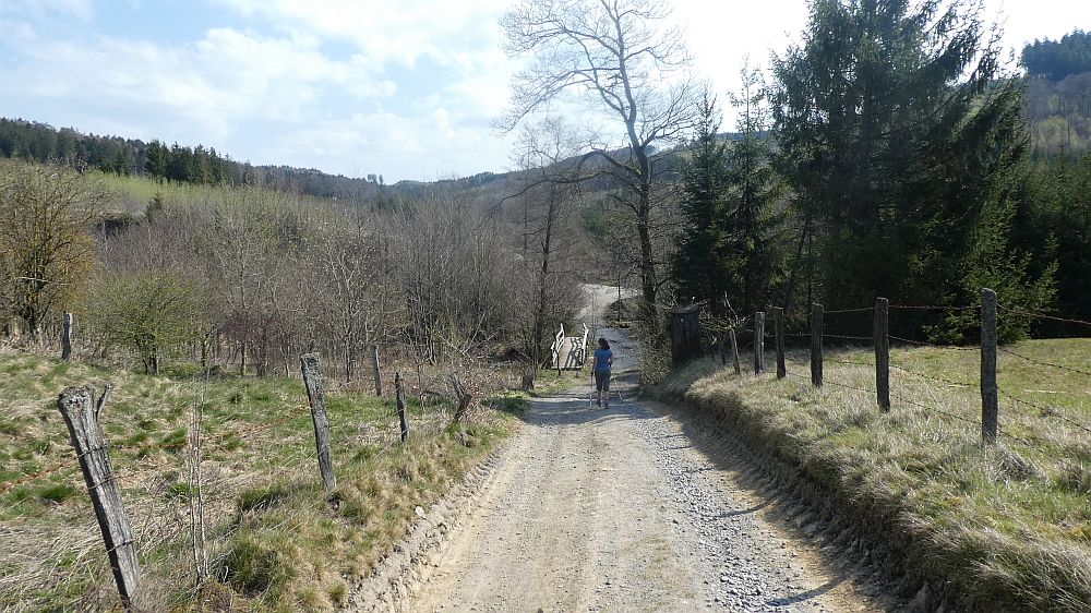 Sauerländer Waldroute