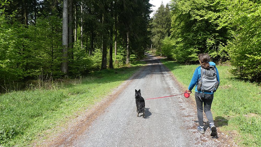 Sauerländer Waldroute