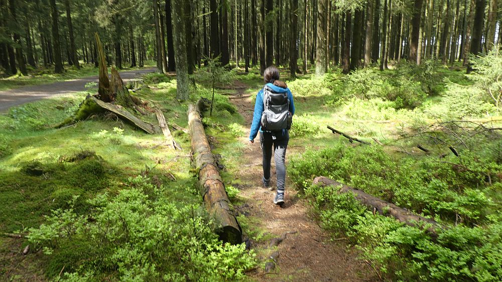 Sauerländer Waldroute