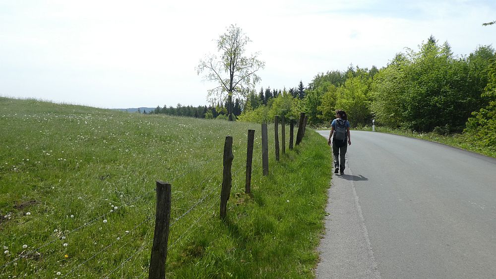 Sauerländer Waldroute