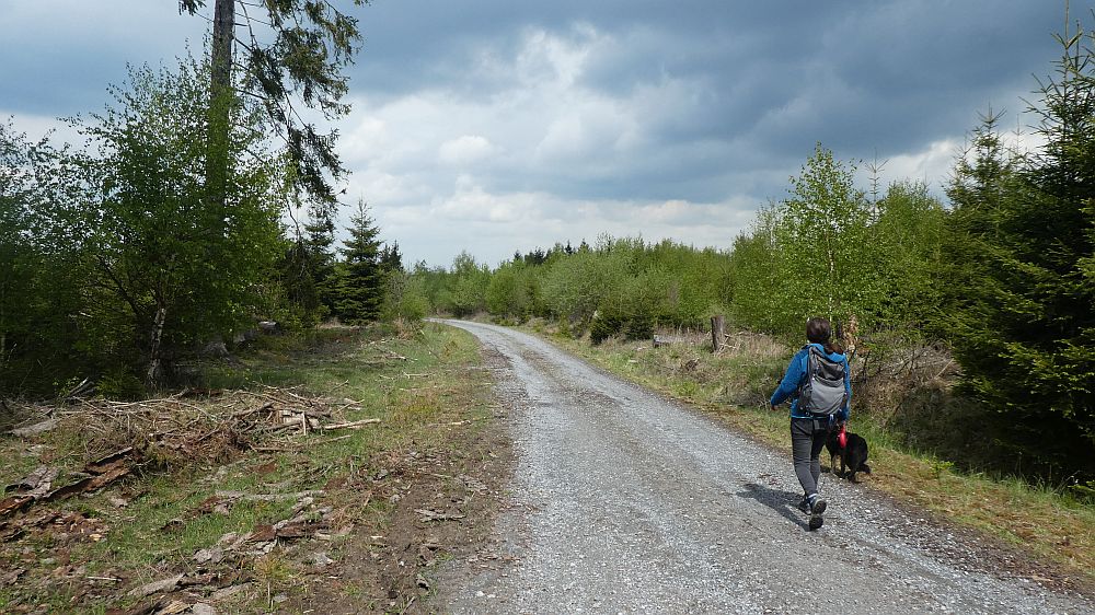 Sauerländer Waldroute