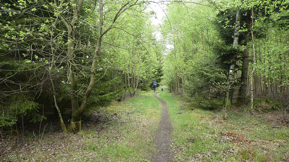 Sauerländer Waldroute
