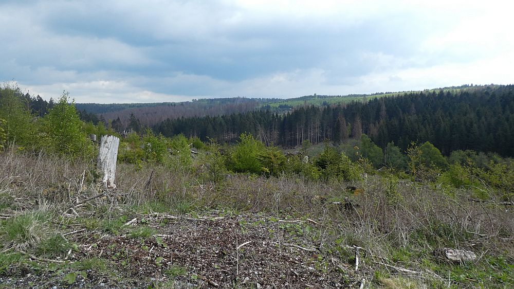 Sauerländer Waldroute