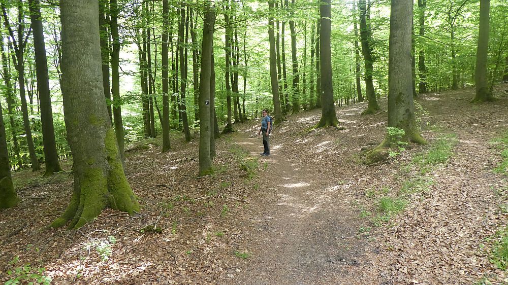 Sauerländer Waldroute