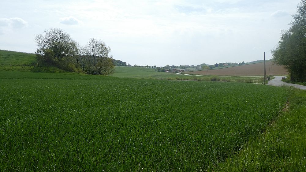 Sauerländer Waldroute
