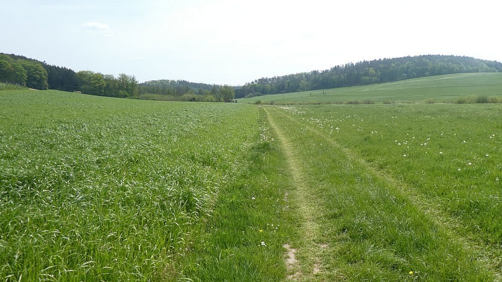 Sauerländer Waldroute