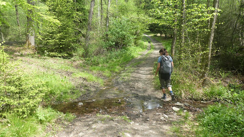 Sauerländer Waldroute