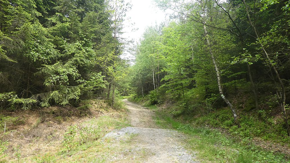 Sauerländer Waldroute