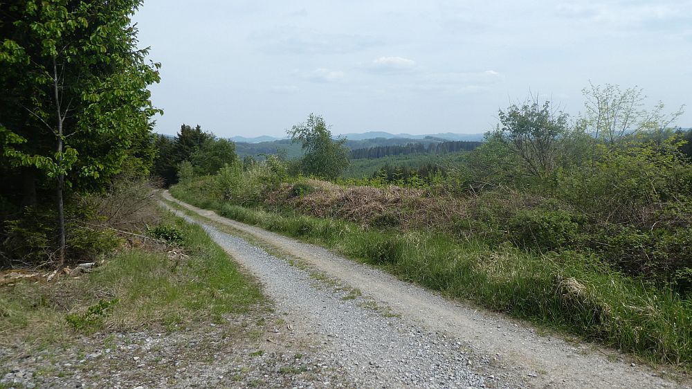 Sauerländer Waldroute