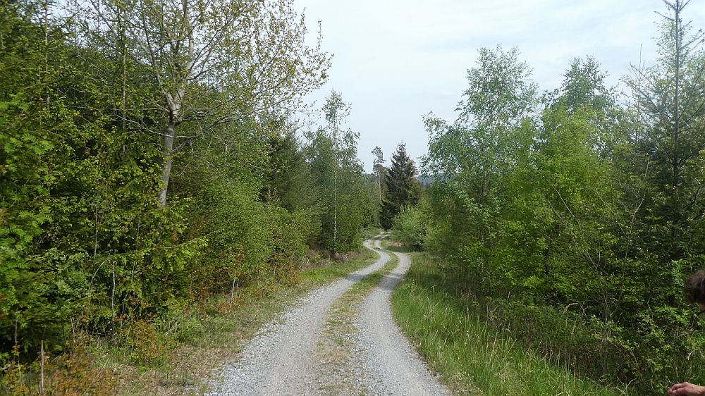 Sauerländer Waldroute