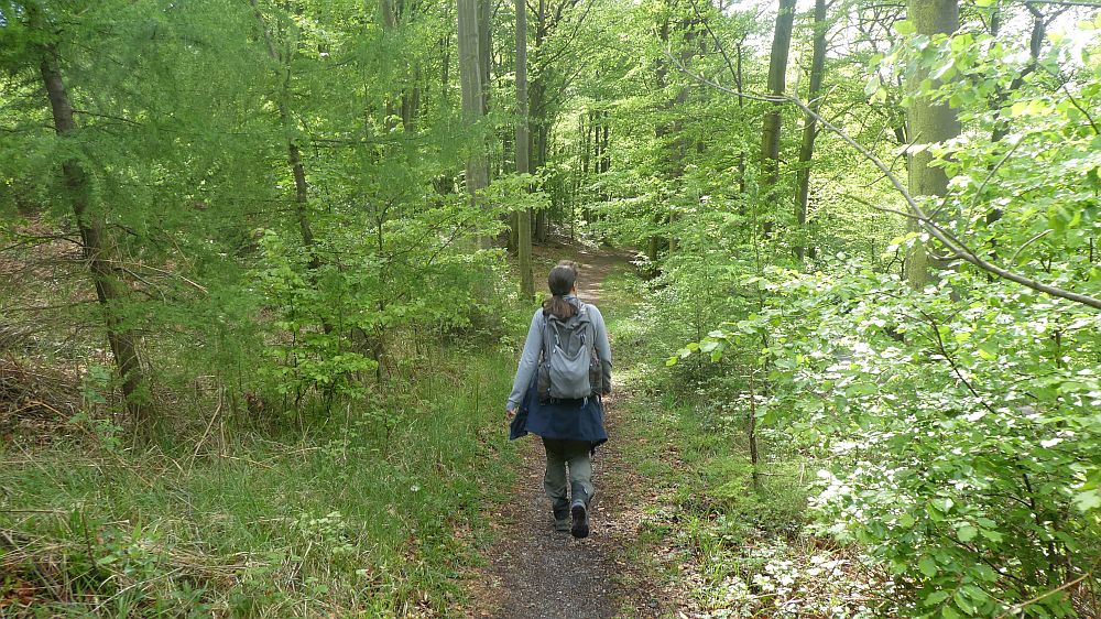 Sauerländer Waldroute