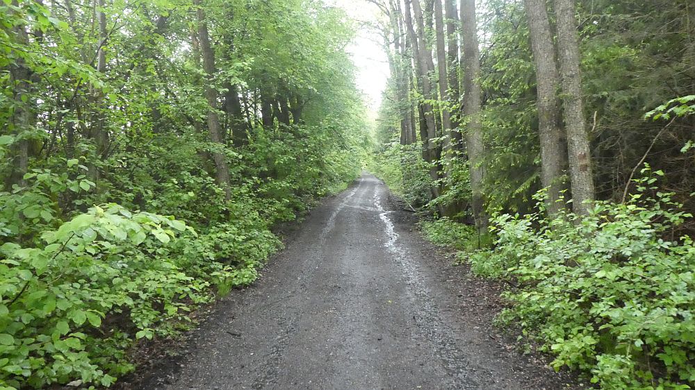 Sauerländer Waldroute