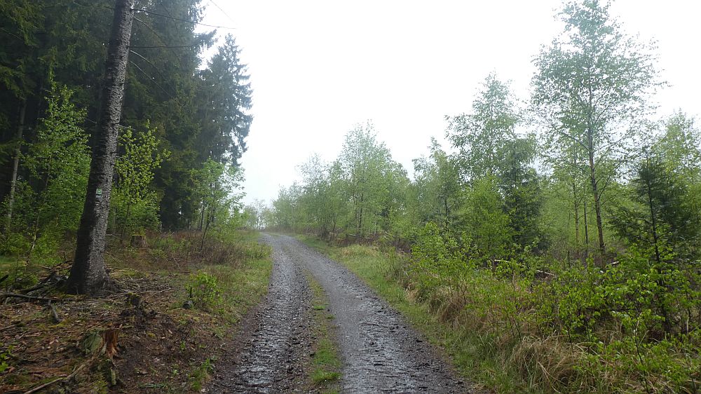 Sauerländer Waldroute