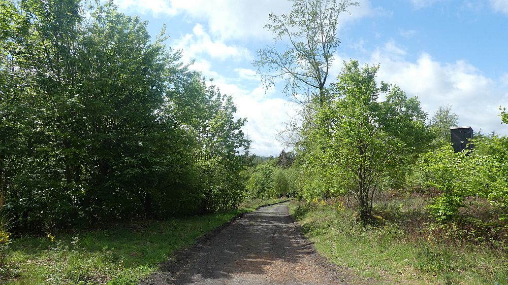Sauerländer Waldroute