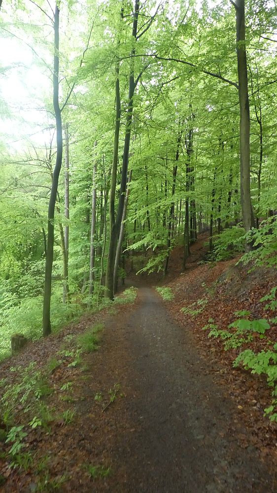 Sauerländer Waldroute